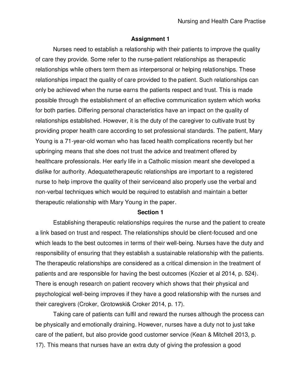 Preview image for Nursing and healthcare practice in a global environment